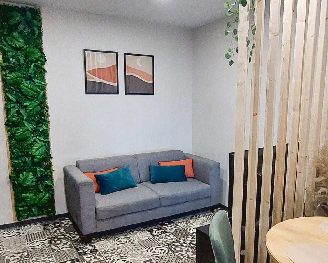 Artgrey * Ideal Pro * Roanne Secteur Gare Et Rue Pietonnes Buitenkant foto